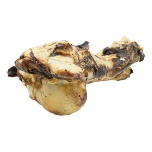 Os de mammouth, 1,1kg