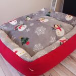 481037191_1189363309562751_4854592722692756055_n