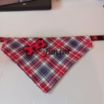 482807728_1199954121837003_2163745474129249862_n