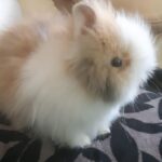 Resized_20210714_171338_7554