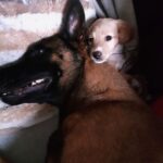 Snapchat-32847408411