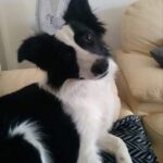 received_257520642746540